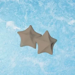 Absorberende stervis sponzen (2 stuks)