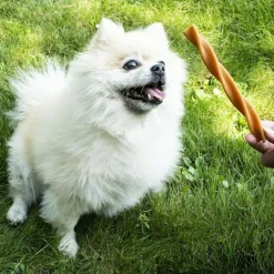 Duvo+ Garden Bites Dental Swirls (13cm) 30st