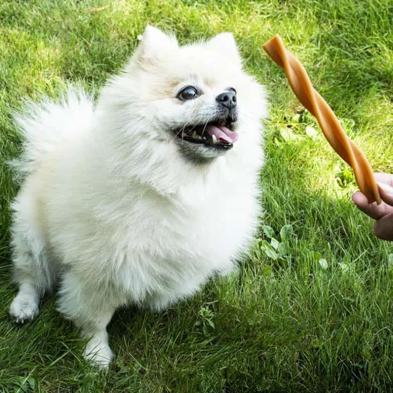 Duvo+ Garden Bites Dental Swirls (13cm) 30st