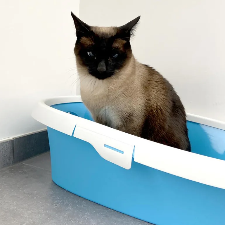 Duvo+ Kattenbakvulling Ecomais klontvormd (3,5kg)