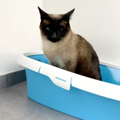 Duvo+ Potige Smurf open kattentoilet (58x39x17cm) Smurf