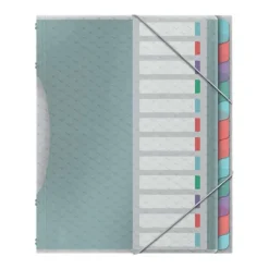 Esselte Divider book PP assortiment 12 tabs