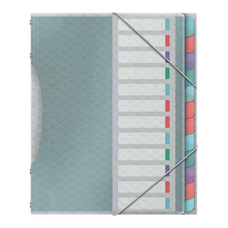 Esselte Divider book PP assortiment 12 tabs