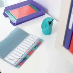 Esselte Divider book PP assortiment 12 tabs