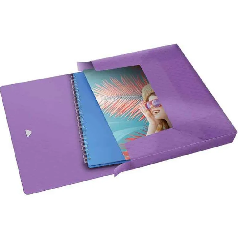 Esselte Documentenbox PP 25mm (A4) lavendelkleur