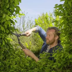 Gardena heggenschaar+snoeischaar NatureCut