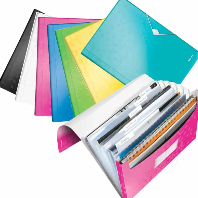 Leitz WOW projectmap A4 PP