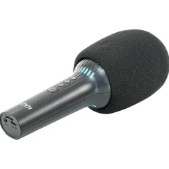 Party Karaoke microfoon en bluetooth luidspreker kamic star