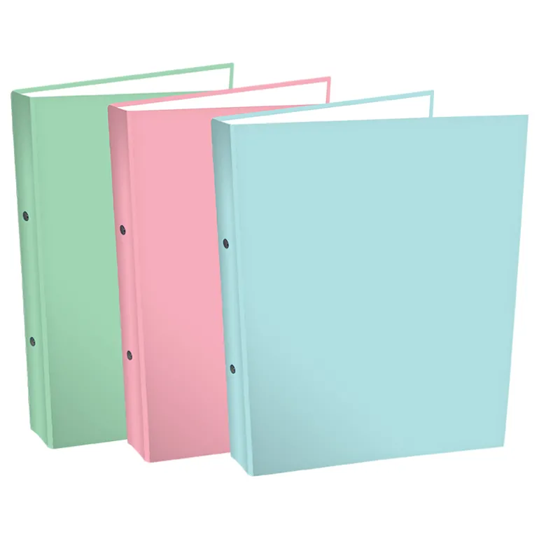 Pastel Ringband A4 (2 ringen)