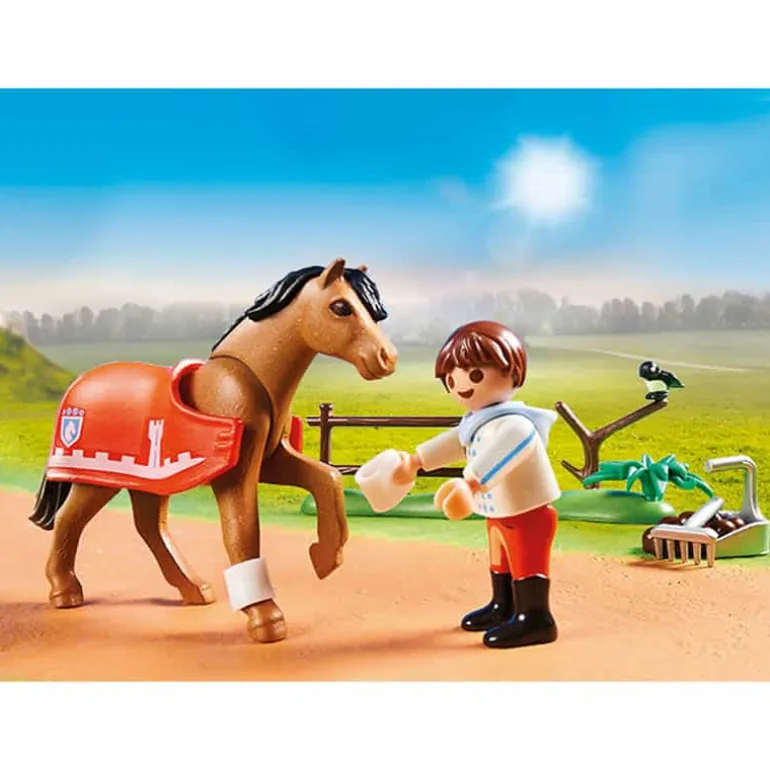 Playmobil Country 70516: Verzamelpony Connemara
