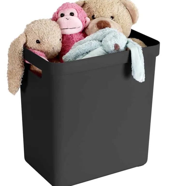 Sigma home box 25L met deksel