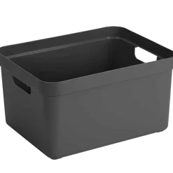 Sigma home box 32L met deksel